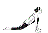 Surya Namaskar sequence