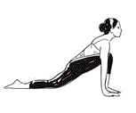 Surya Namaskar sequence