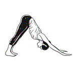 Surya Namaskar sequence