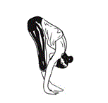 Surya Namaskar sequence