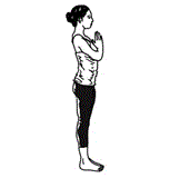 Surya Namaskar sequence